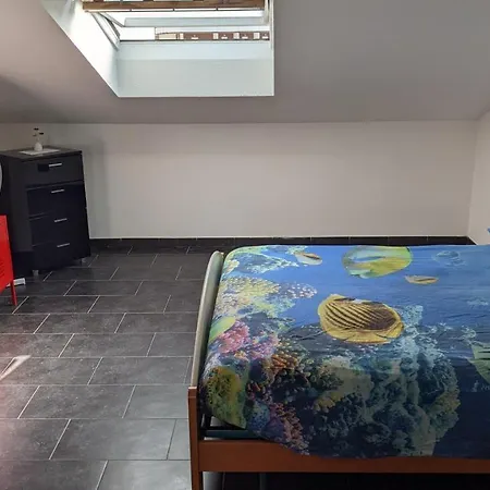 公寓 Attico Los Andes 奥托纳